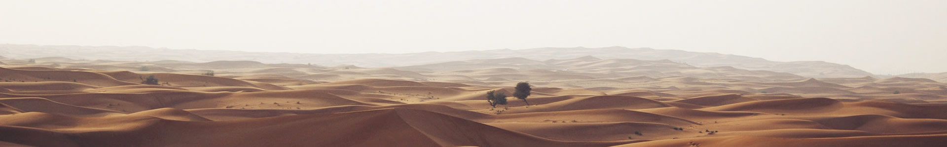ݹе޹˾